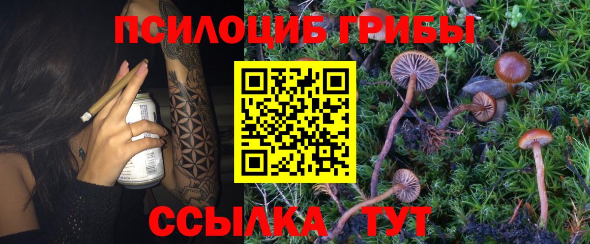 Псилоцибиновые грибы Magic Shrooms Чехов