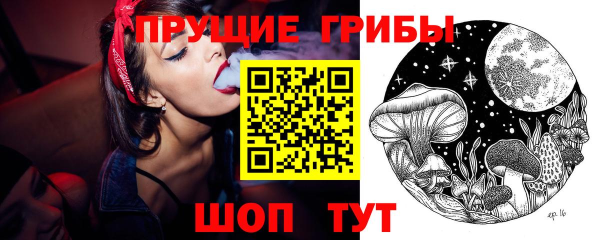 Галлюциногенные грибы Psilocybe  Вход с VPN  Галлюциногенные грибы ЛСД  Чехов 